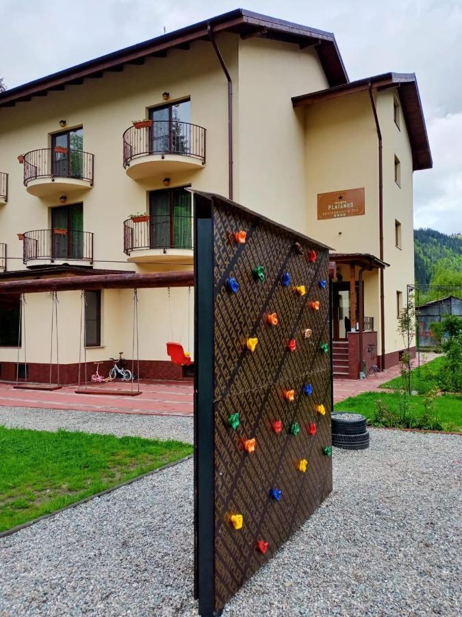 Maison Platanus Voineasa Kültér fotó
